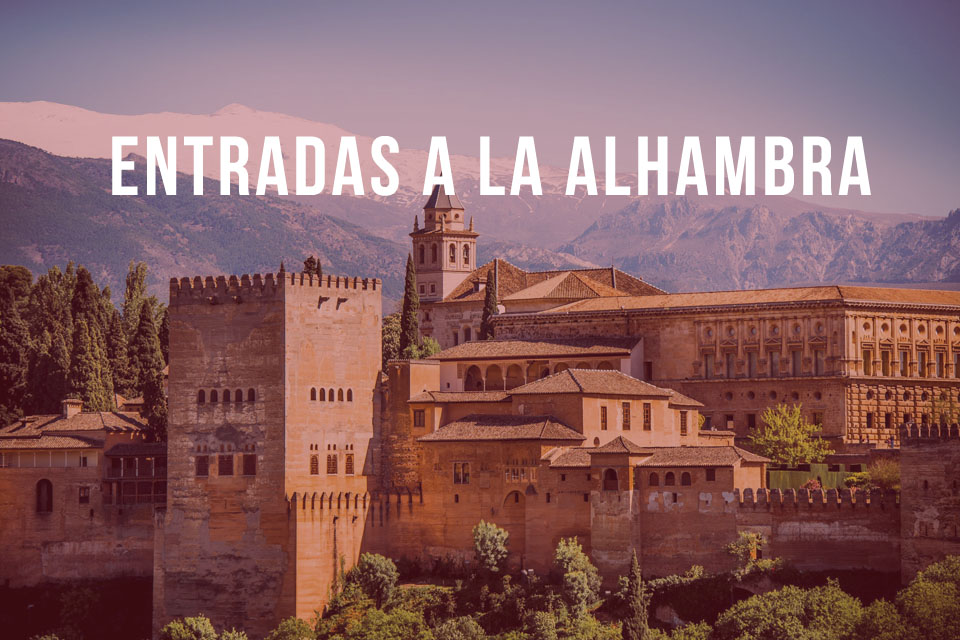 Visita la Alhambra